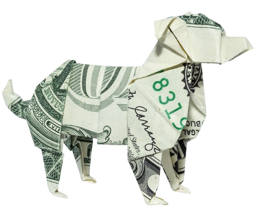 Hurrah! We Finally Get Paid!